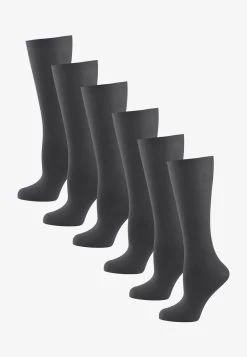 6-PACK KNIESTRÜMPFE COTTON 60 DEN - Kniestrümpfe - Sinfonie